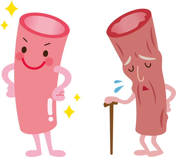 若い血管と年老いた血管のイラスト